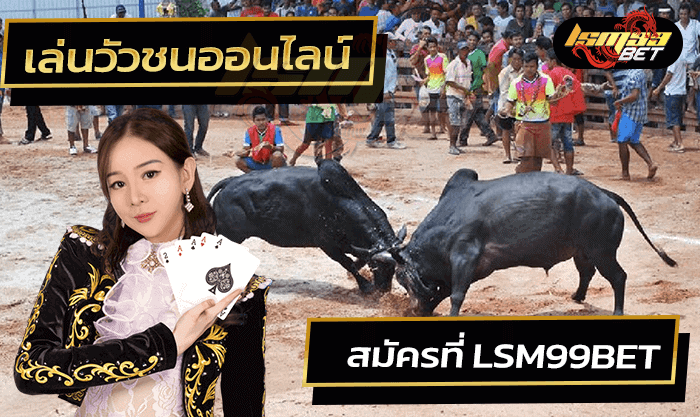 เล่นวัวชนออนไลน์ lsm99