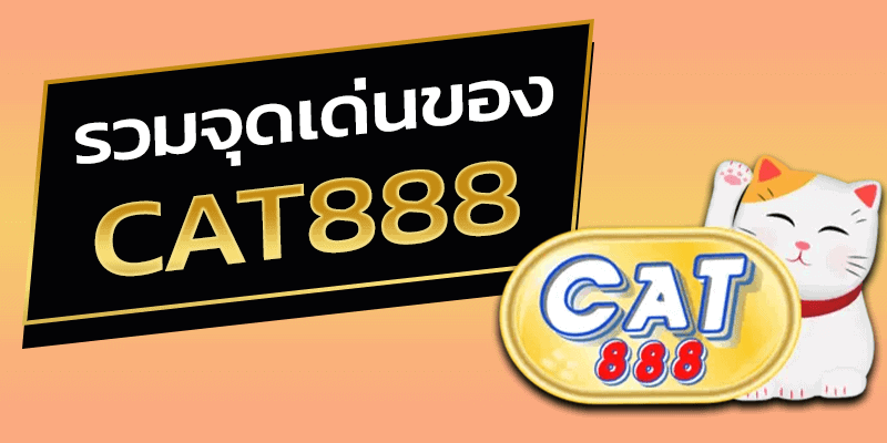 จุดเด่น cat888