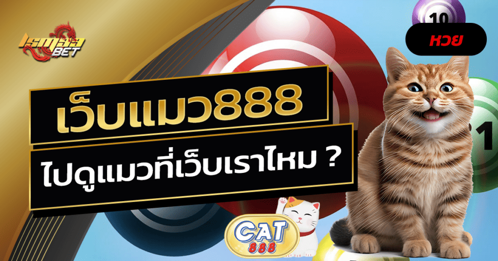 เว็บแมว888