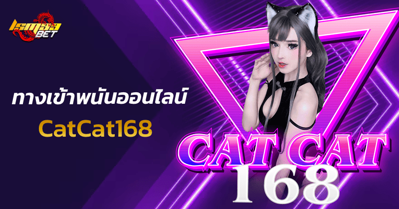 ทางเข้า CatCat168